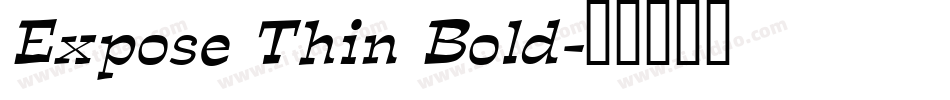 Expose Thin Bold字体转换